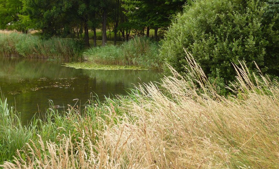 Espace Naturel Sensible du vallon de Bellefontaine, Champigneulles, France, France